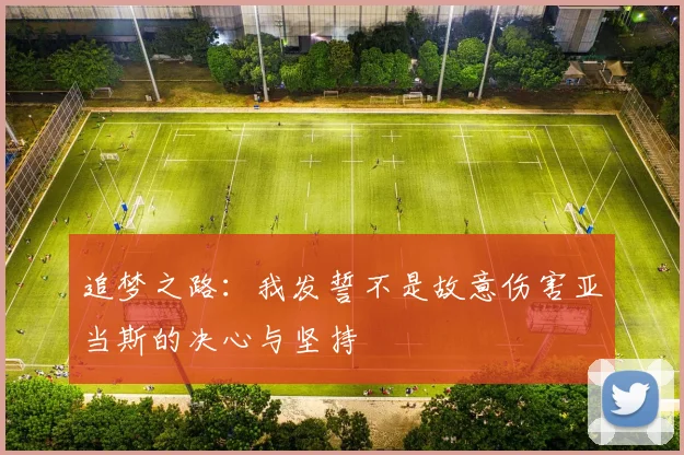 追梦之路：我发誓不是故意伤害亚当斯的决心与坚持
