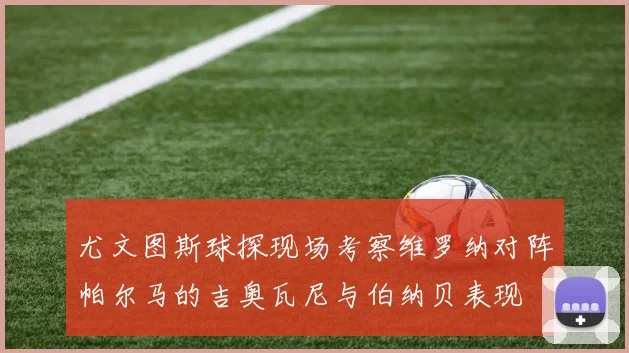 尤文图斯球探现场考察维罗纳对阵帕尔马的吉奥瓦尼与伯纳贝表现
